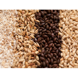 Финский солод Pilsner Malt Vicing Malt необжаренный  25кг