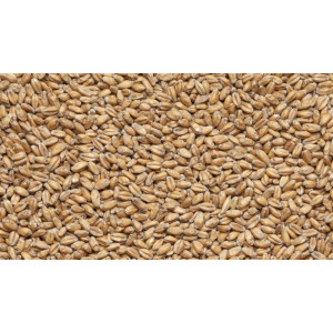 Пшеничный 5кг (Курский солод)