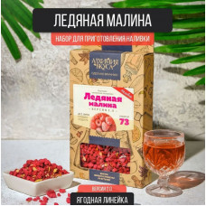 Набор Алхимия вкуса Ледяная малина V2, 17 г